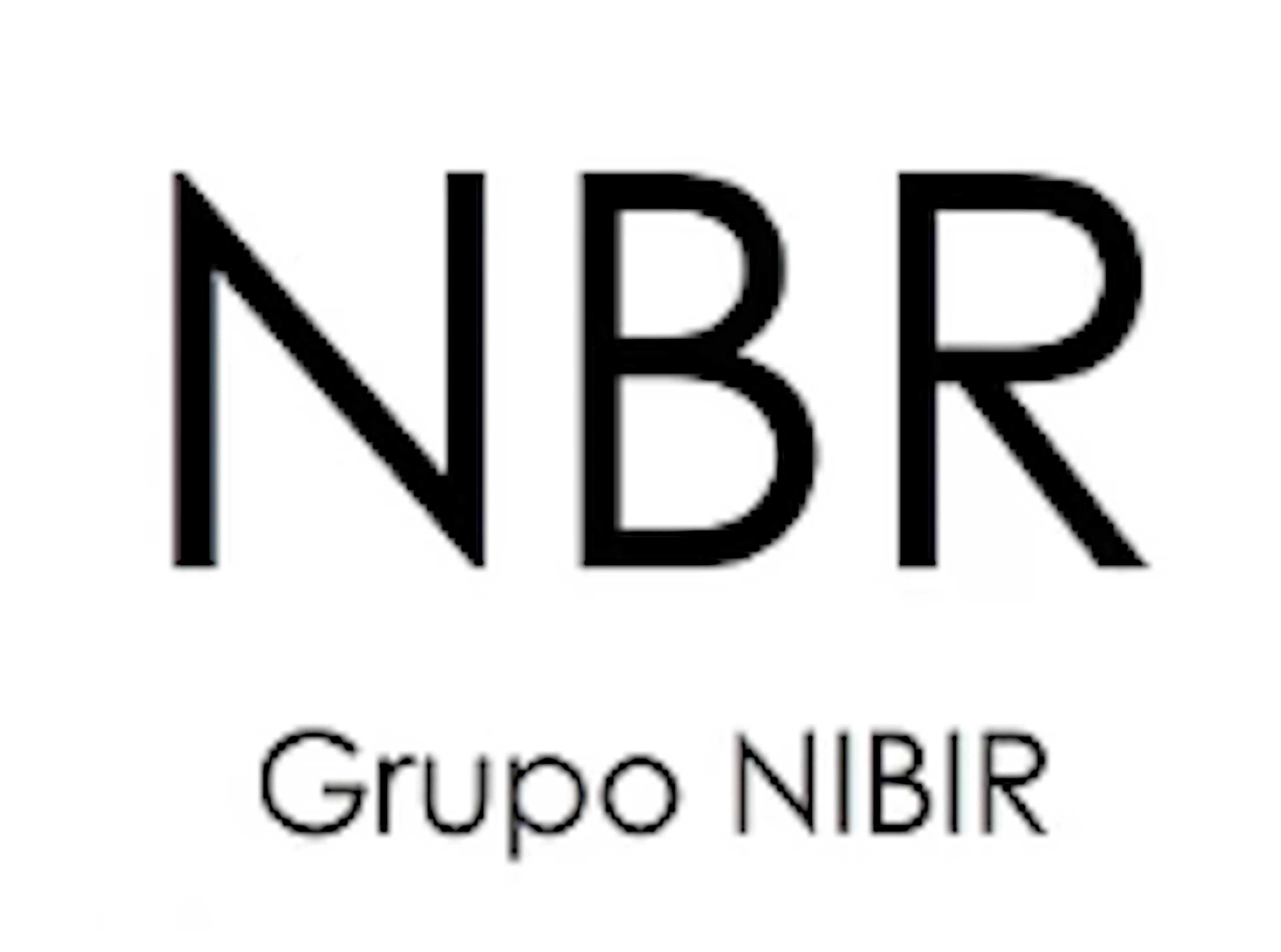 Nibir logo