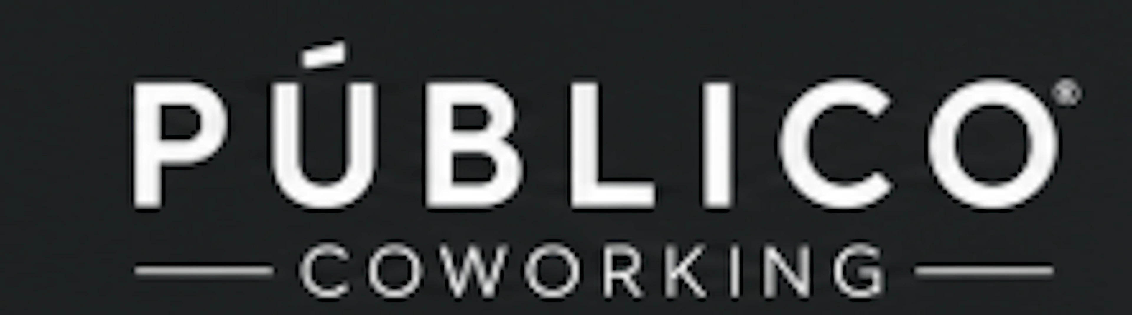 PÚBLICO logo