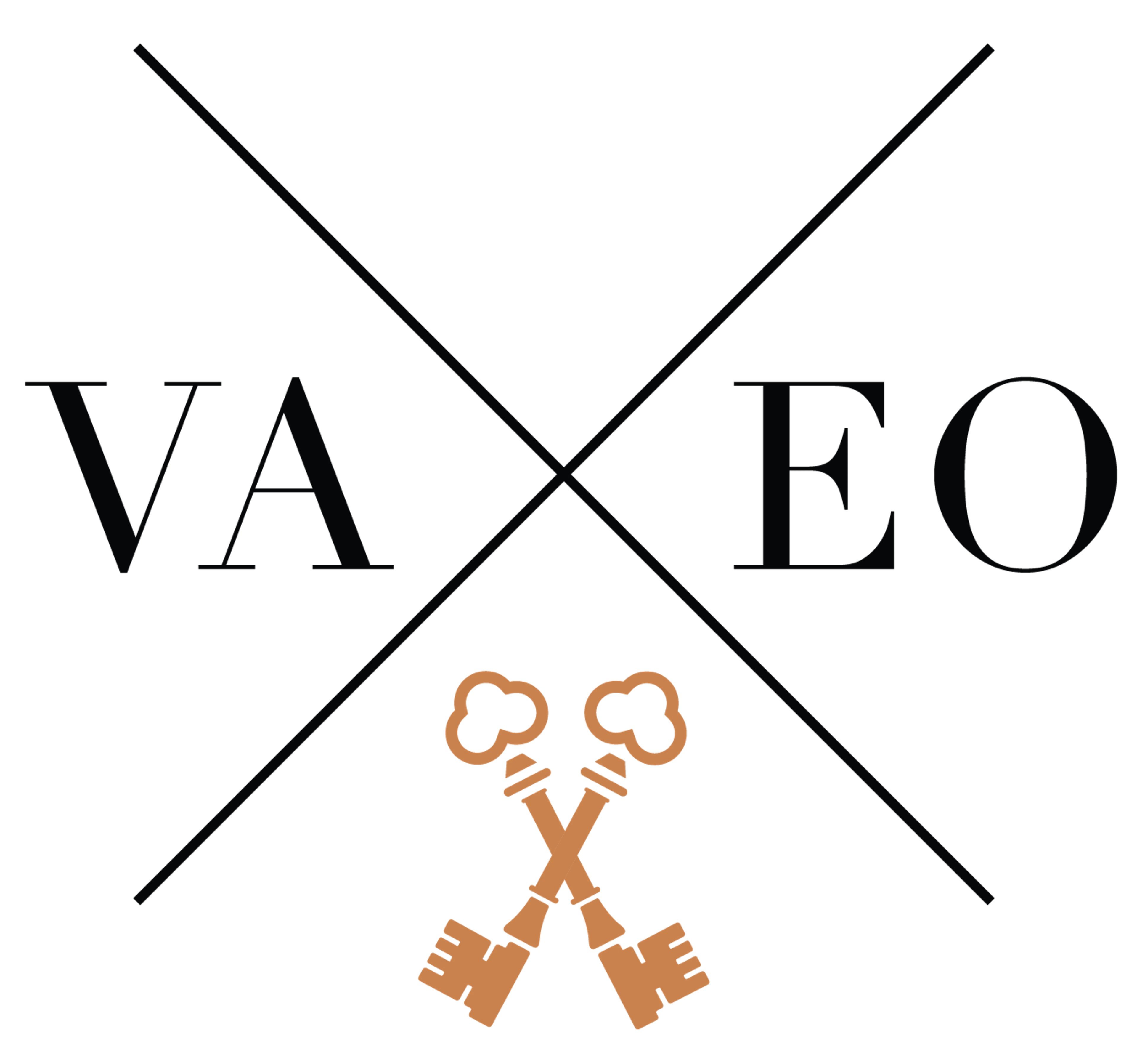 Vaeo logo