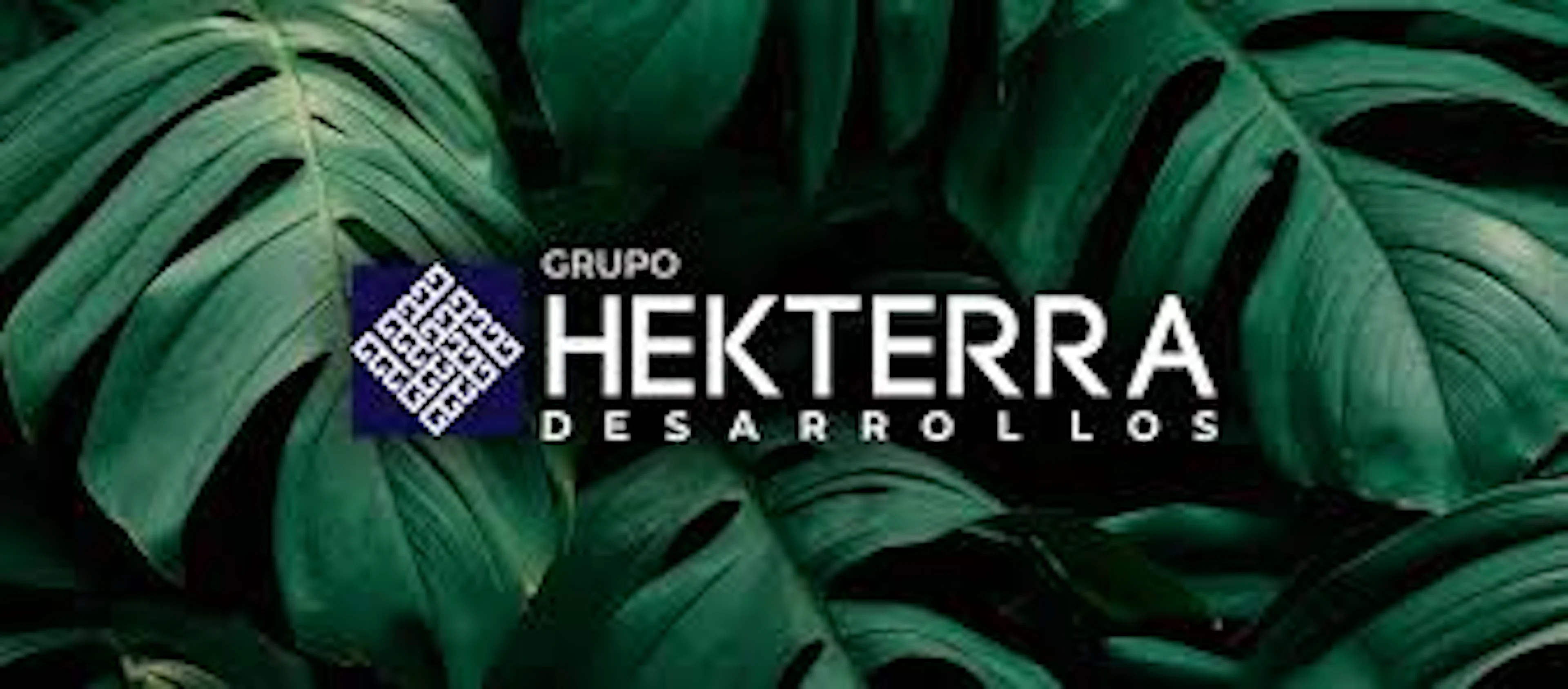 Grupo Hekterra background