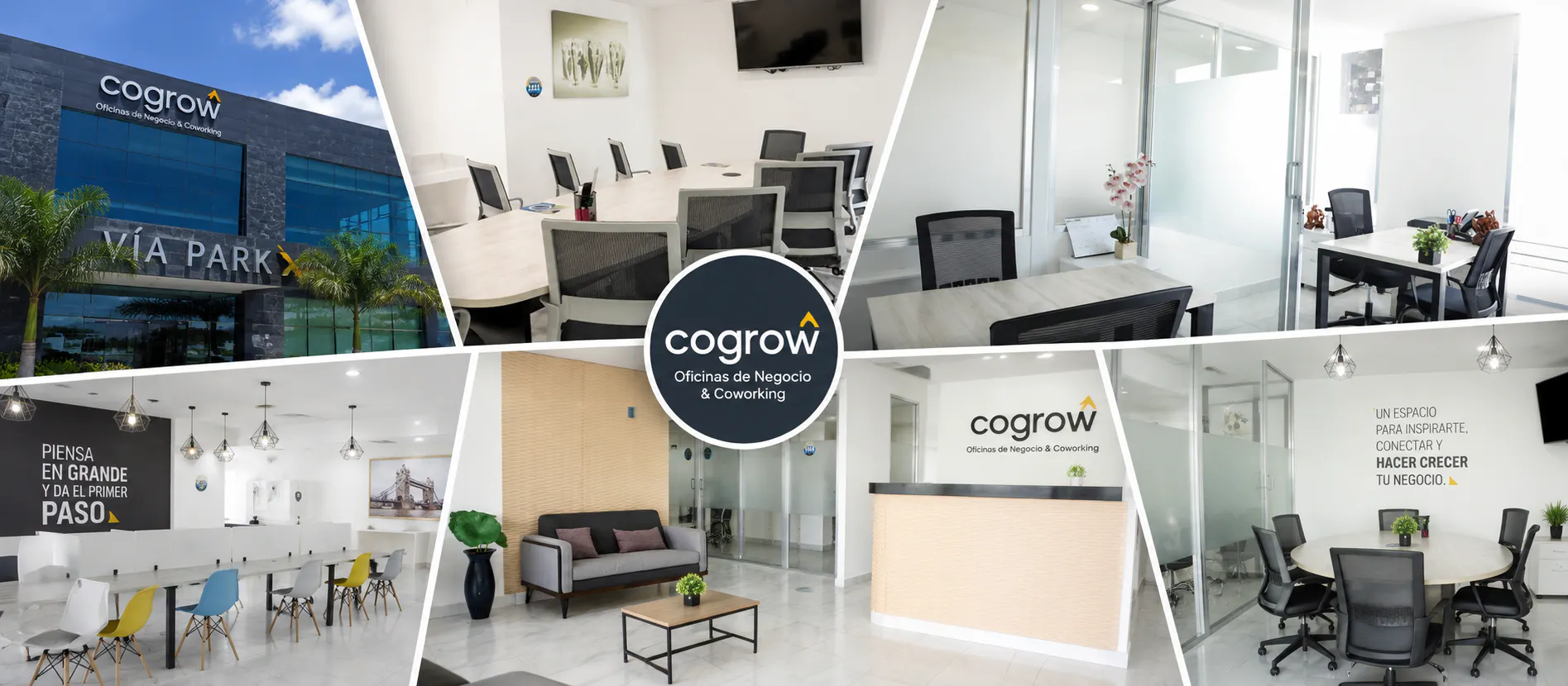 Cogrow | Oficinas de Negocio & Coworking - imagen
