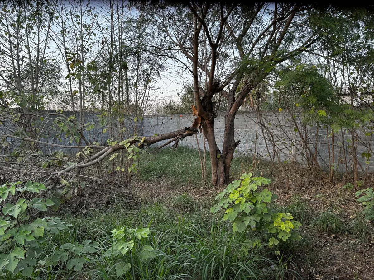 Terreno Spot2