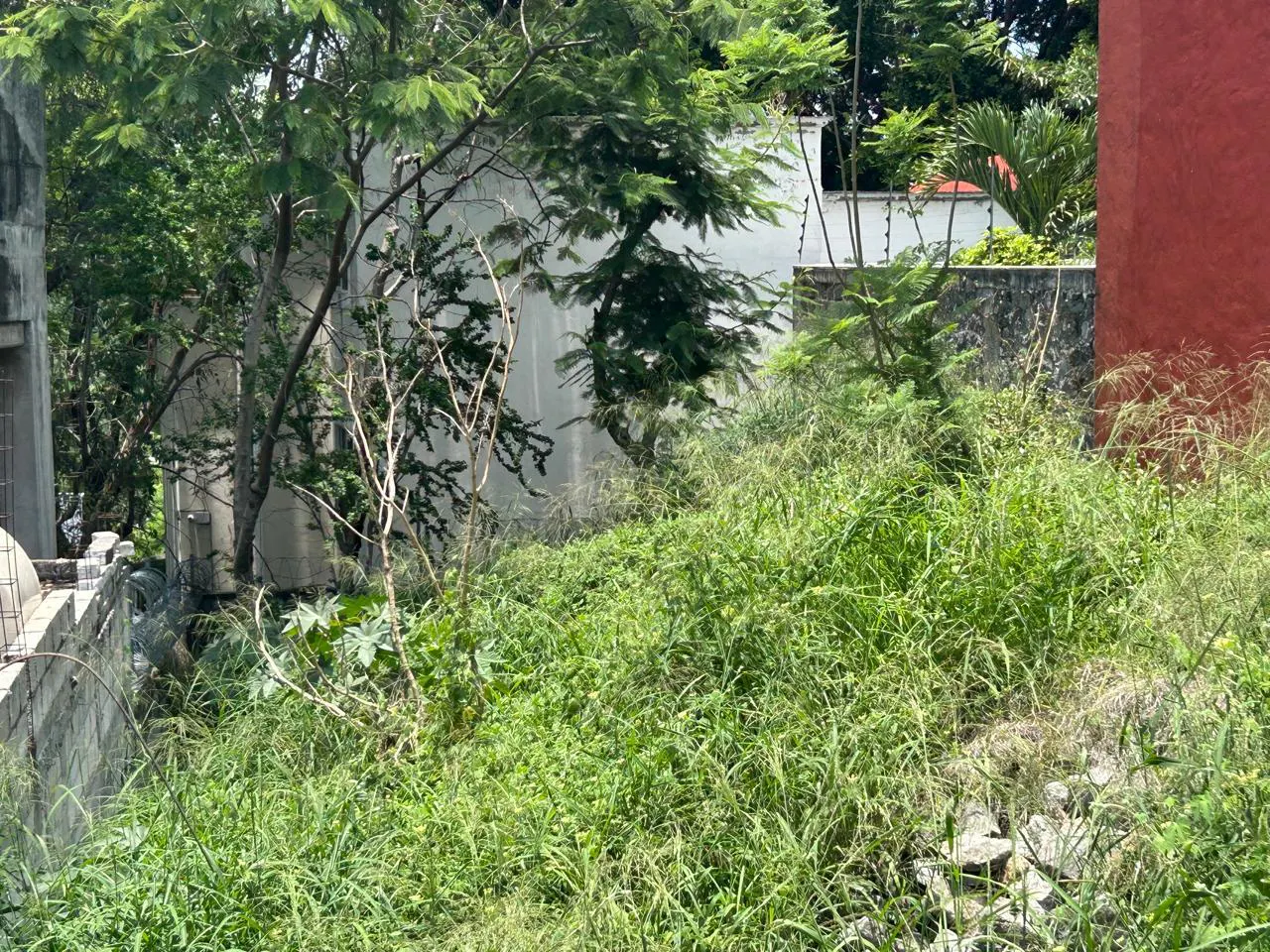Terreno Spot2