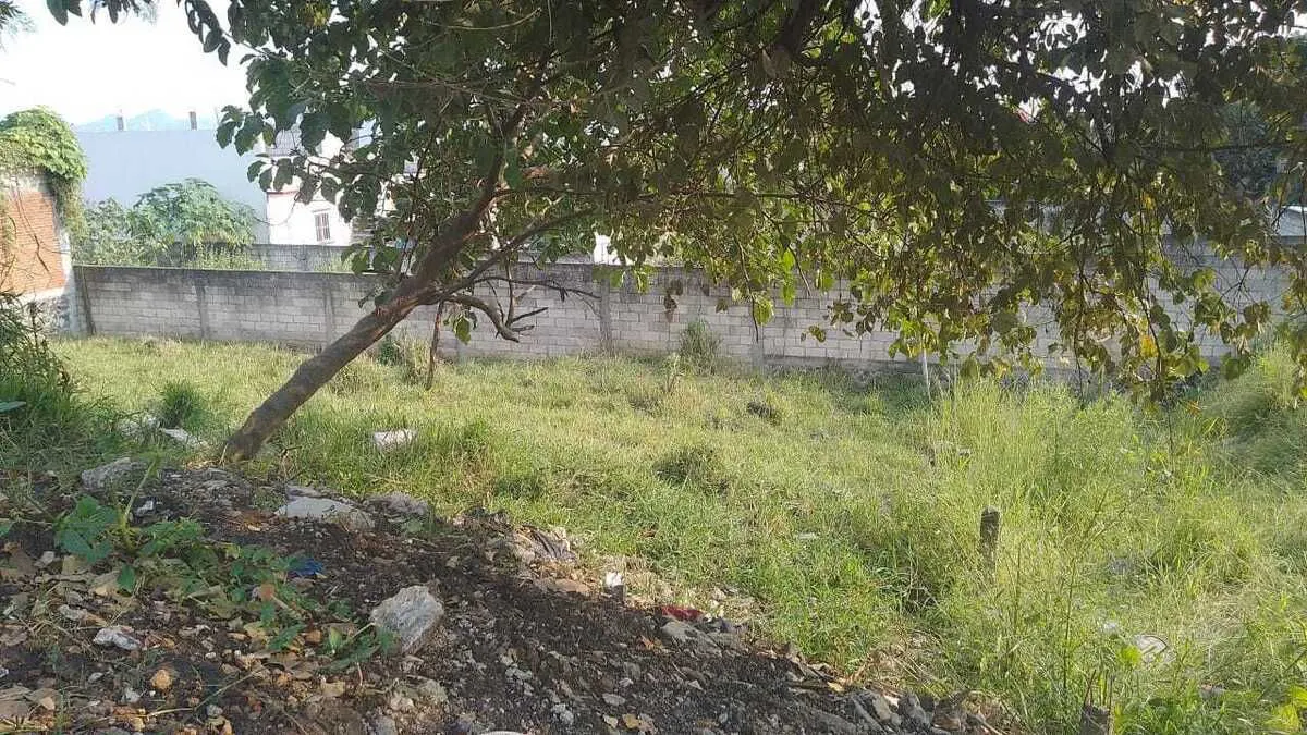 Terreno Spot2