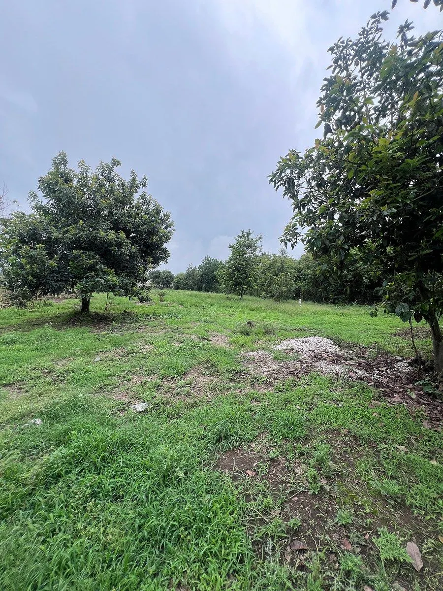 Terreno Spot2