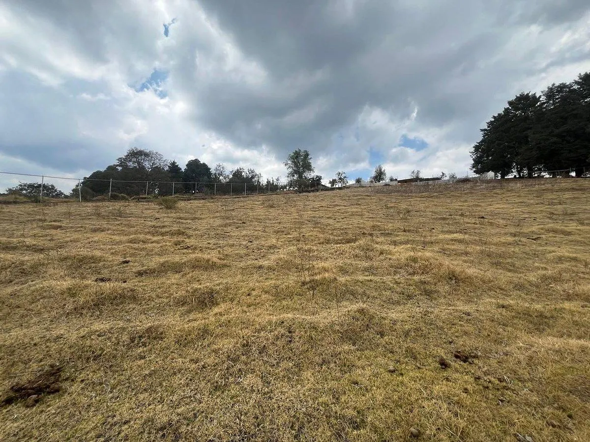 Terreno Spot2