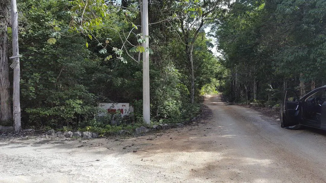 Terreno Spot2