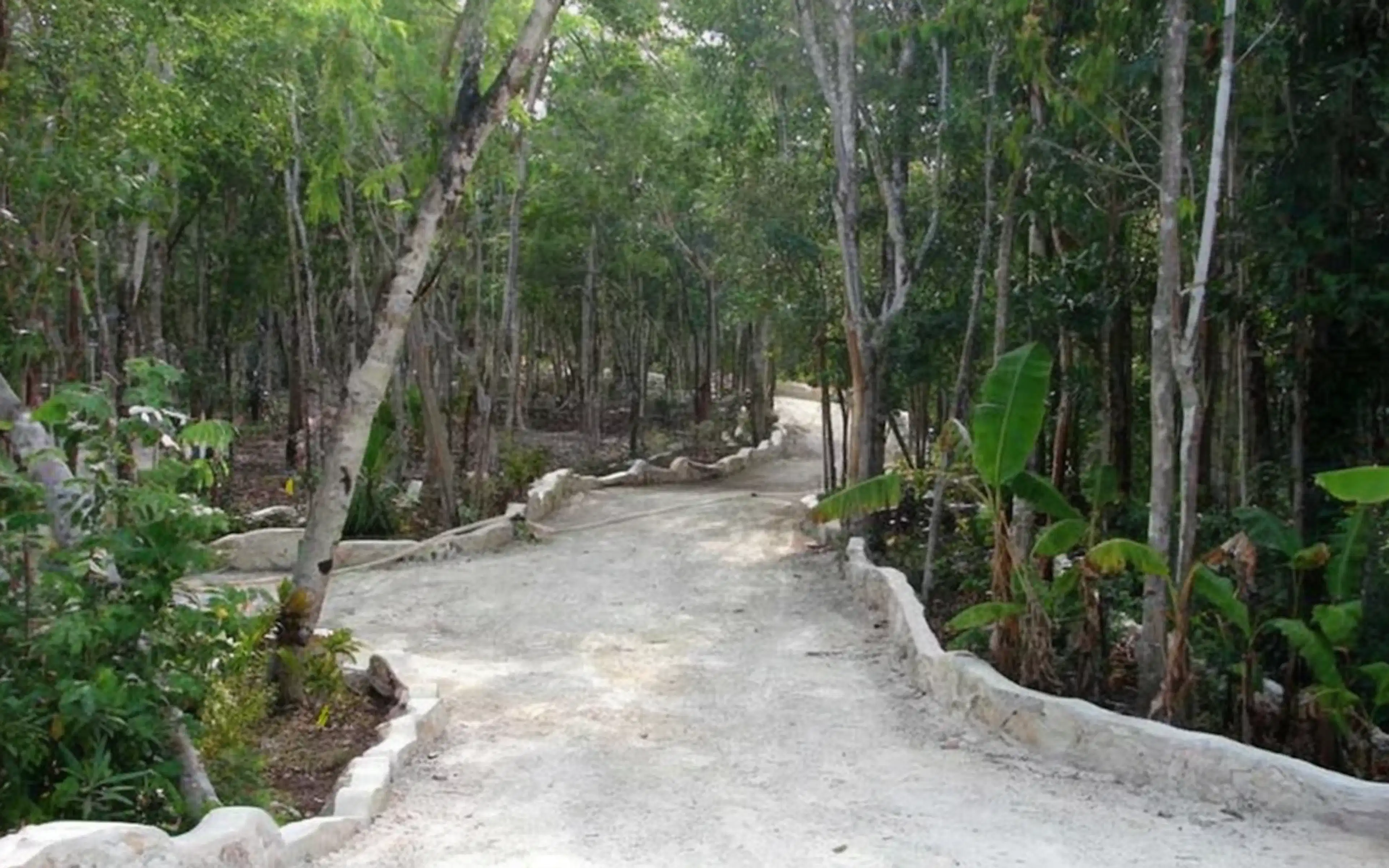 Excelente predio 1 hectárea dentro de fraccionamiento cerrado Riviera Maya P2780