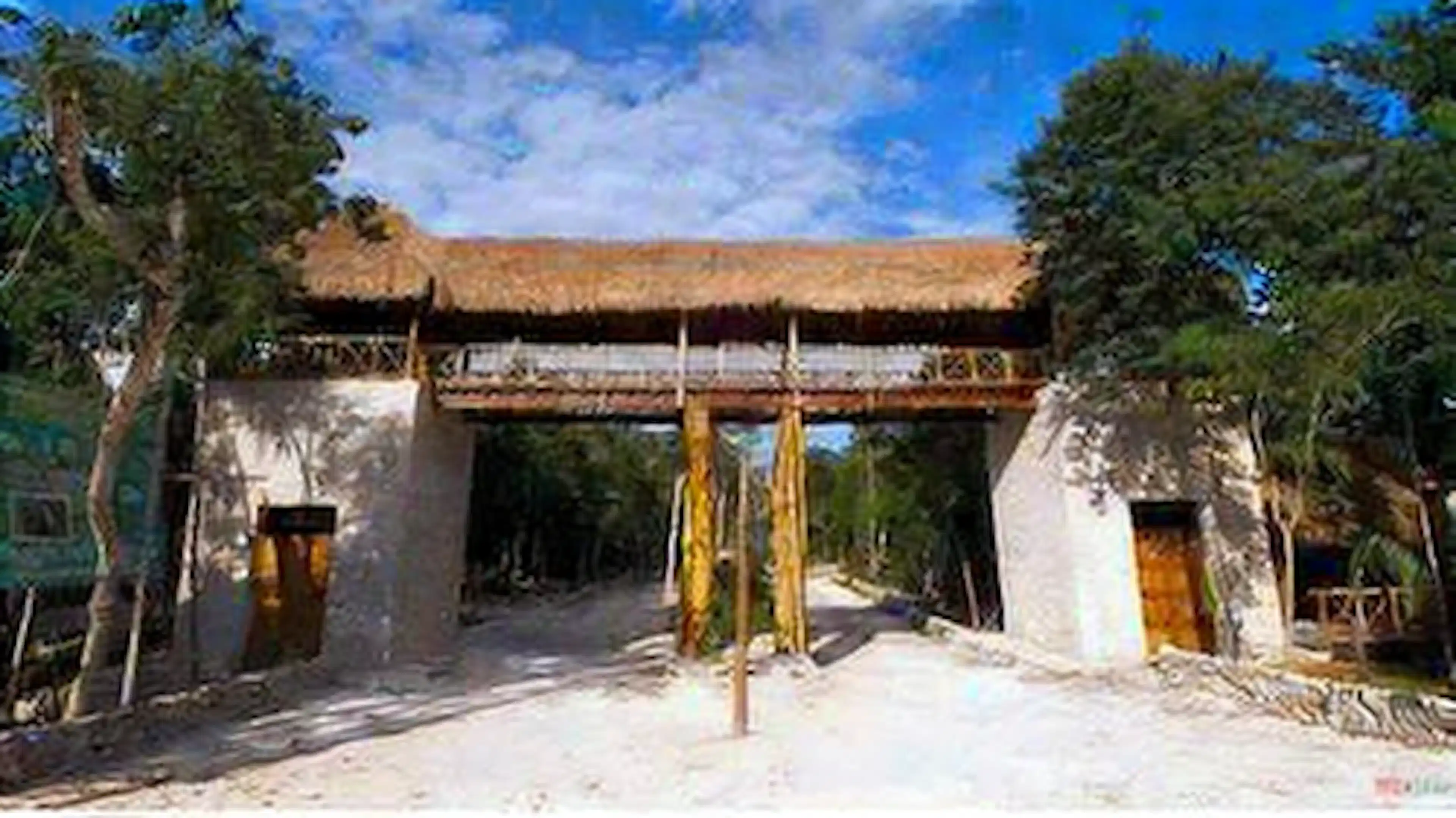 Excelente Predio 1 Hectárea Dentro De Fraccionamiento Cerrado Riviera Maya P2780