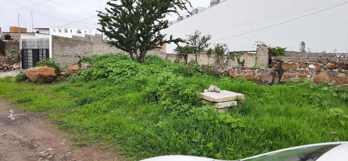Terreno Spot2
