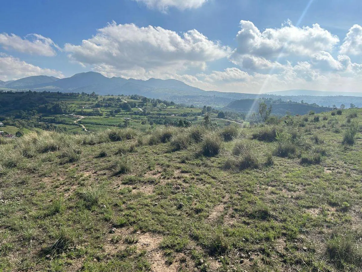 Terreno Spot2