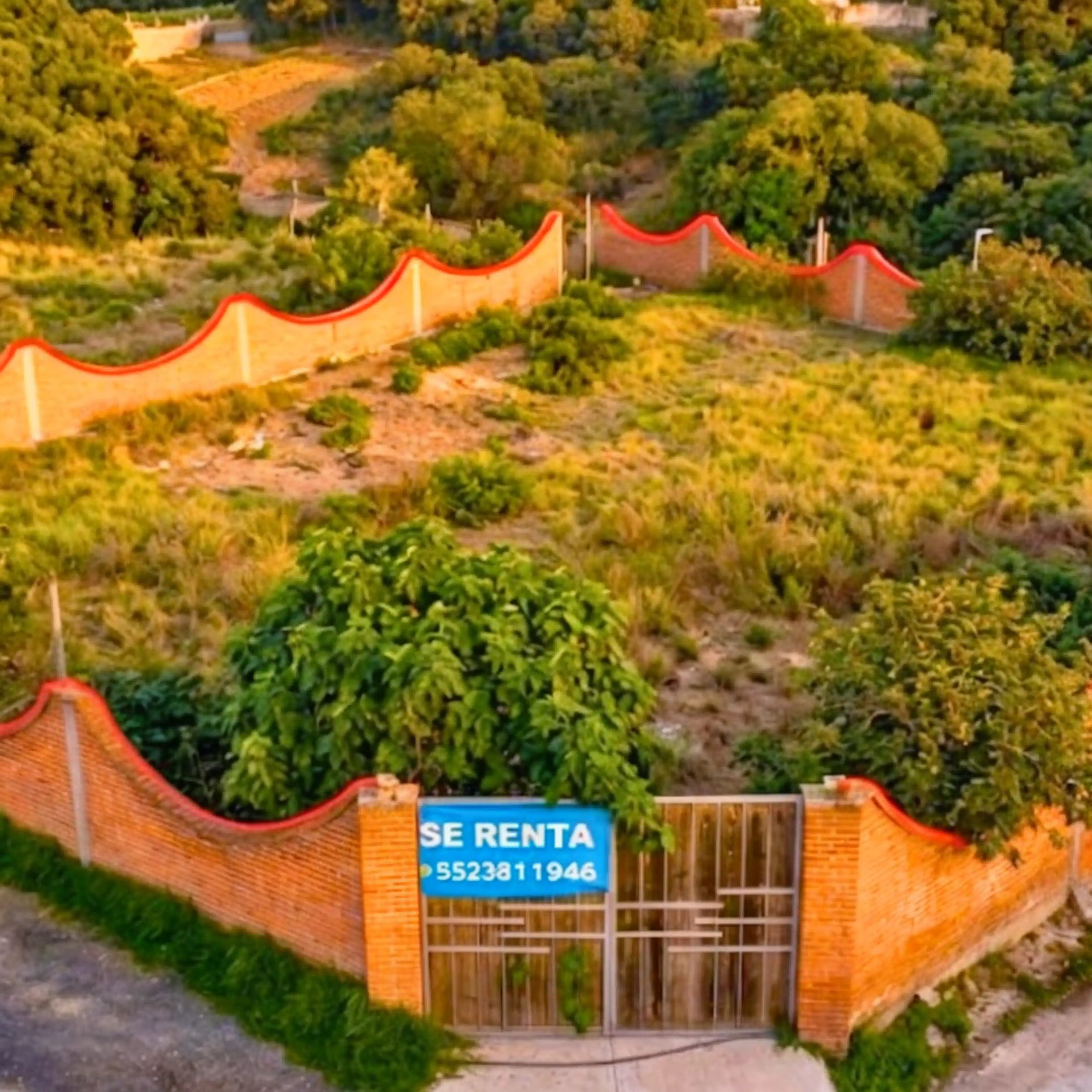 Terreno en Renta Rancho Blanco