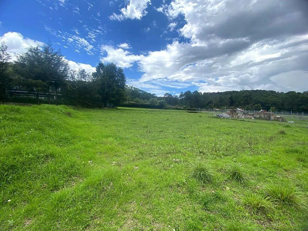 Terreno Spot2
