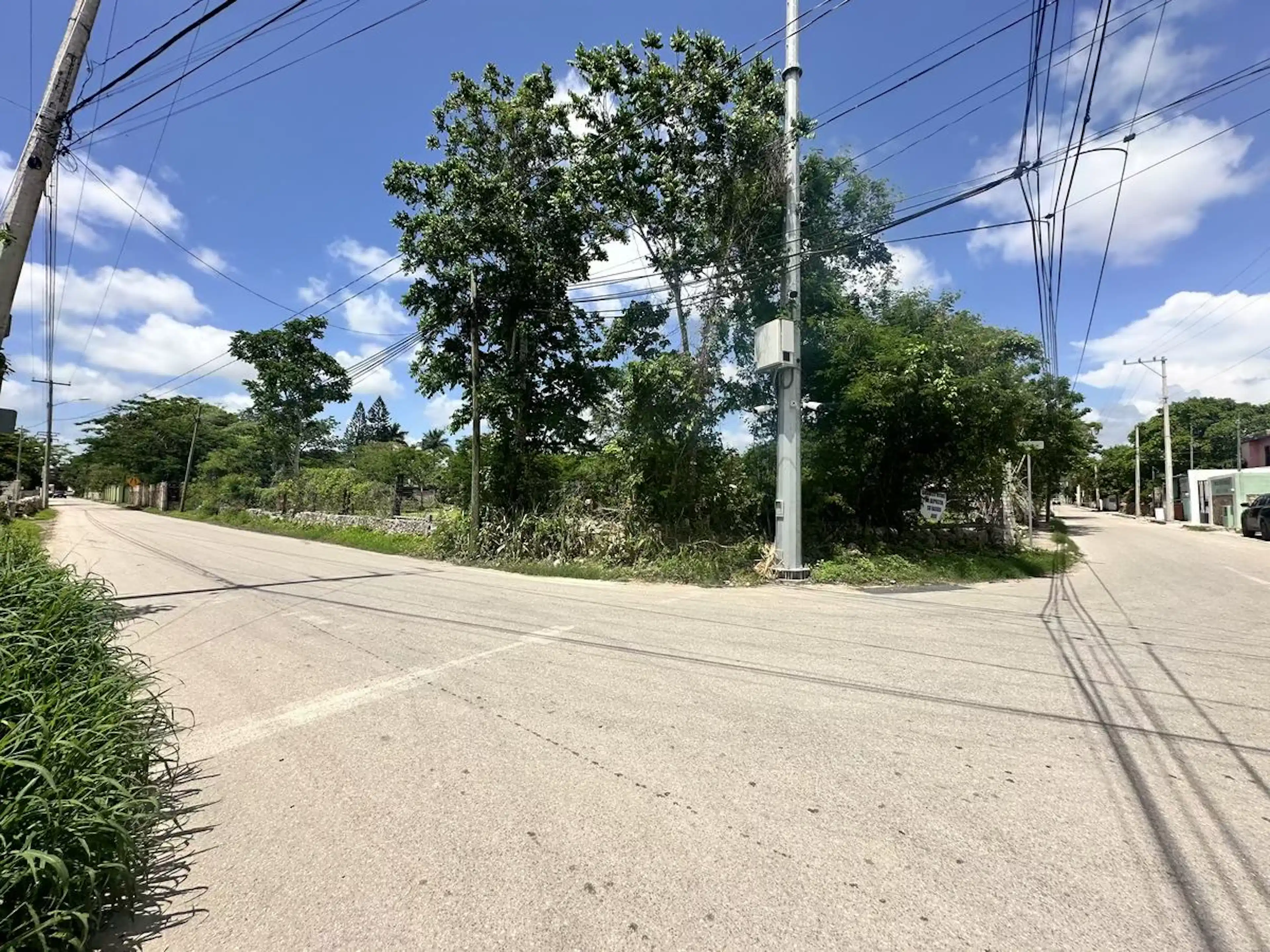 Calle 12 61