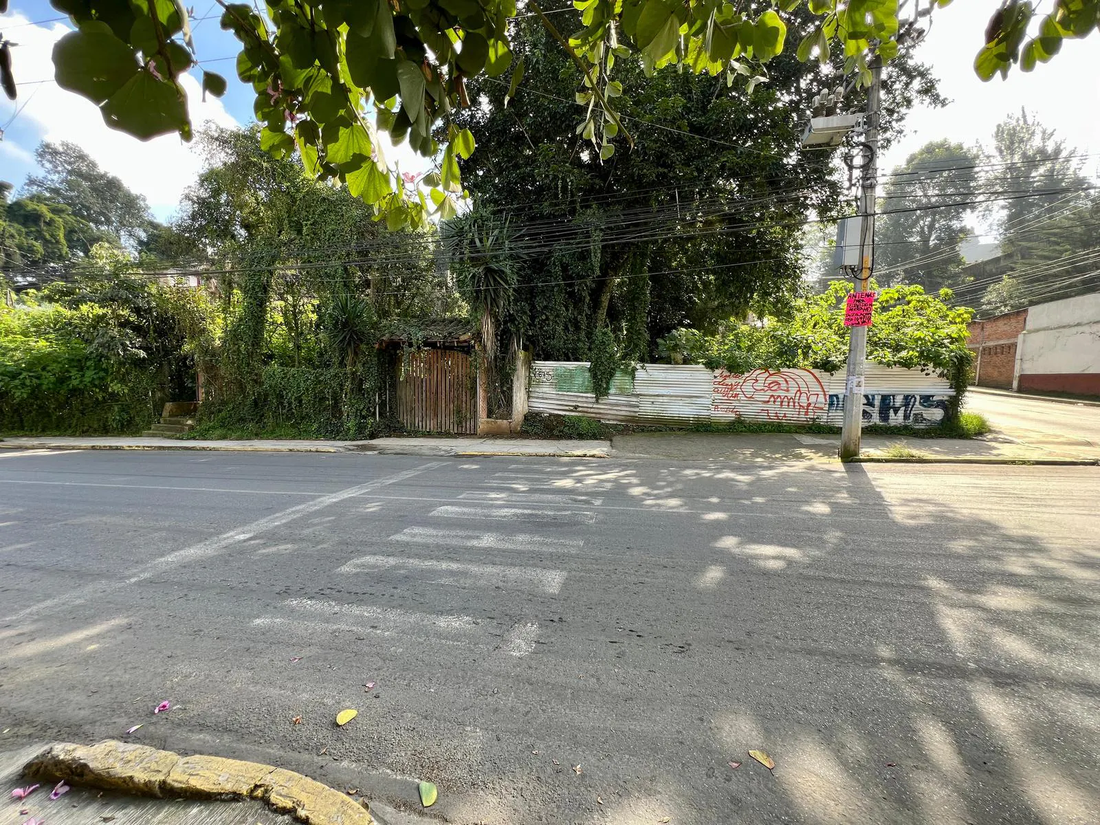 Terreno Spot2