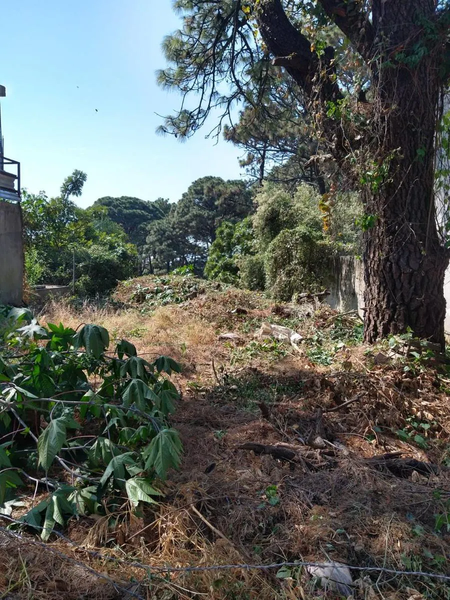 Terreno Spot2