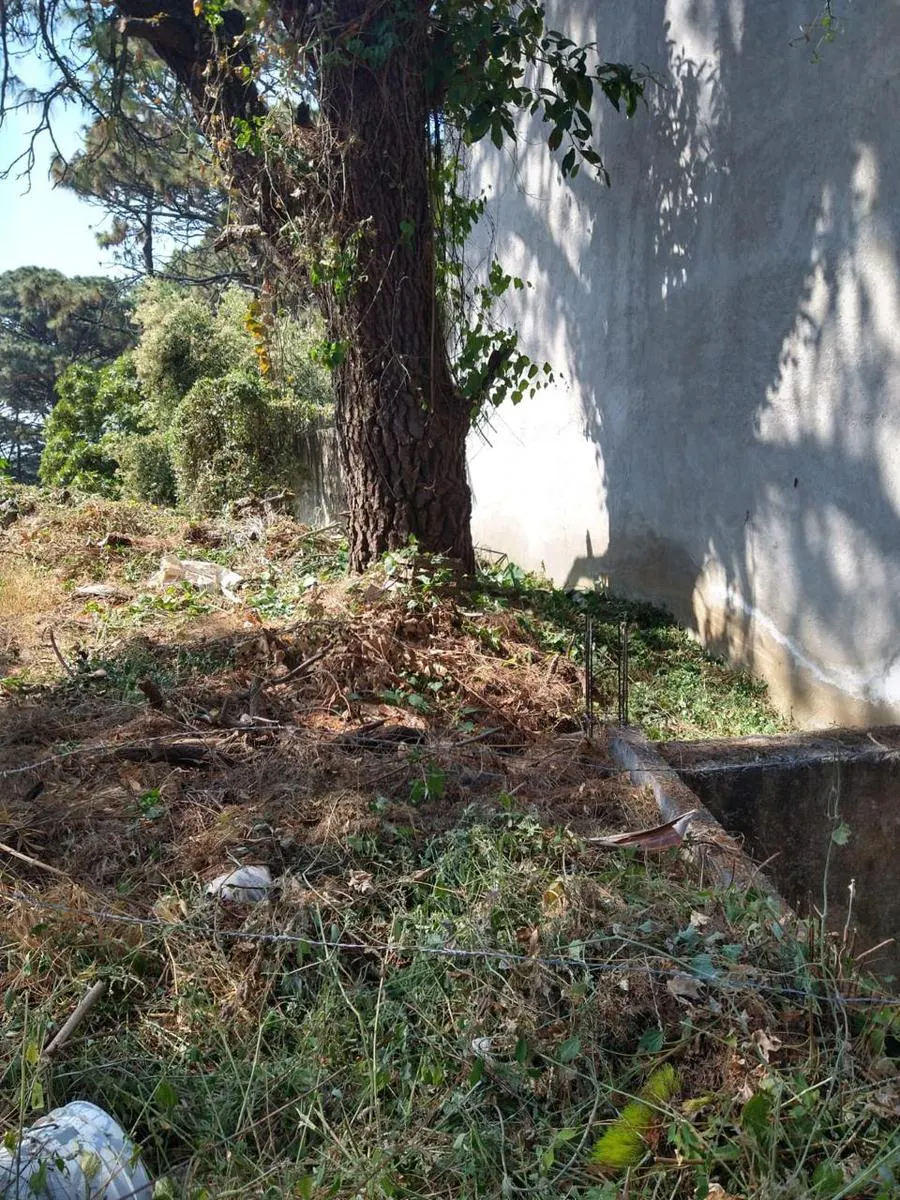 Terreno Spot2