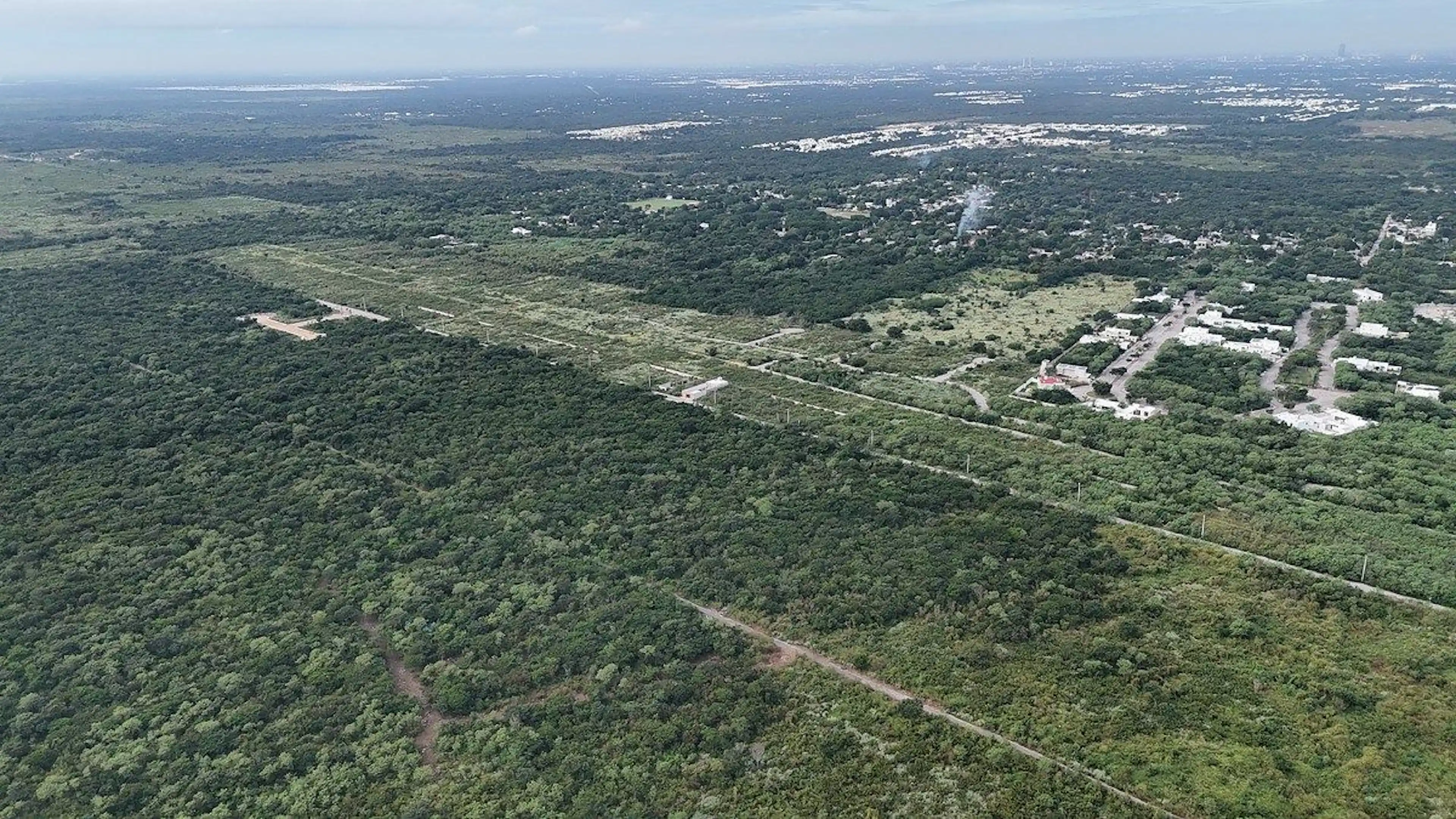 Terreno en Venta de 4.77 Hectáreas en Conkal – Excelente Oportunidad