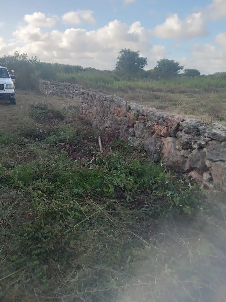 Terreno Spot2