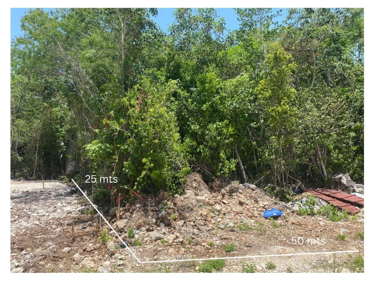 Terreno Spot2