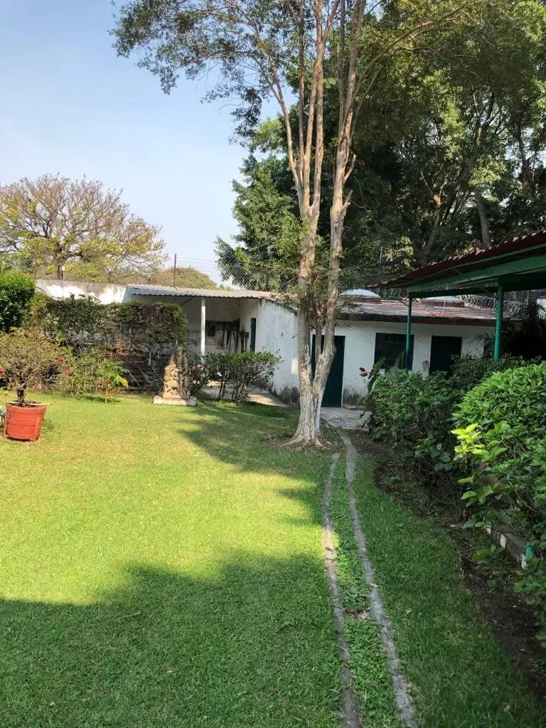 Terreno Spot2