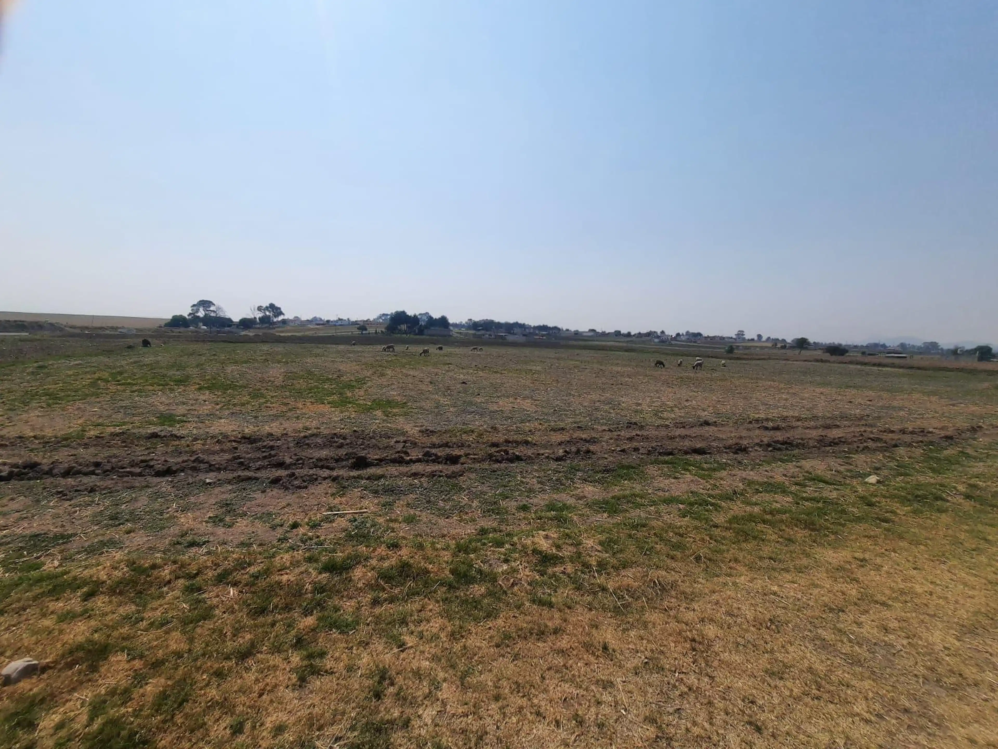 Terreno En  Venta En San Cayetano, Almoloya De Juárez