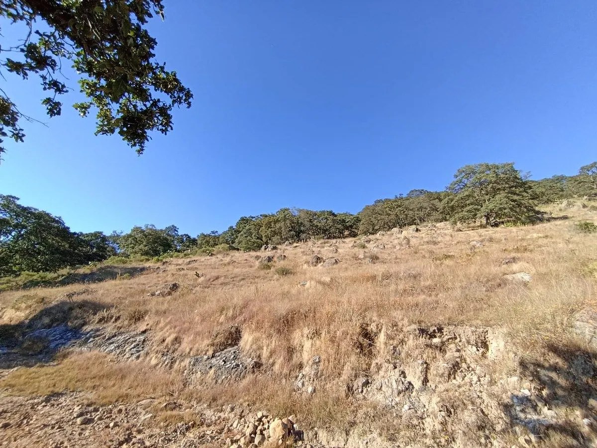 Terreno Spot2