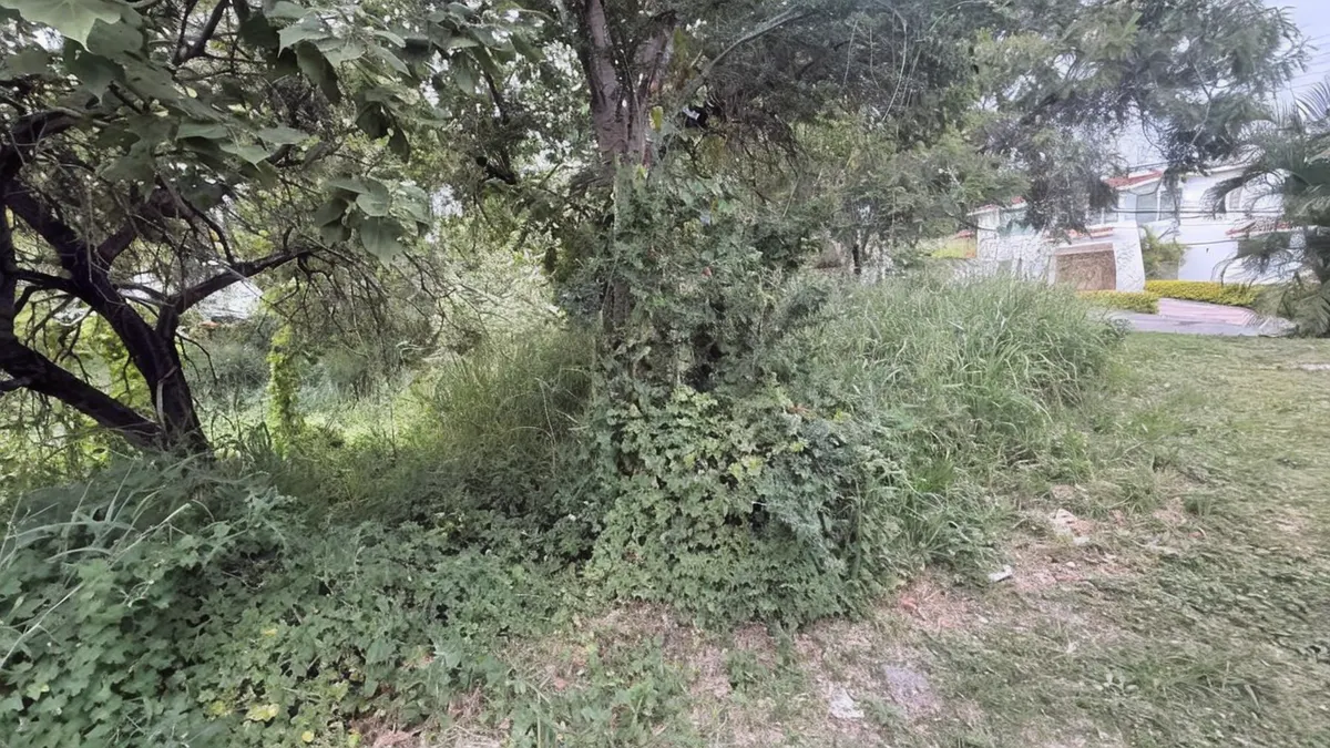 Terreno Spot2