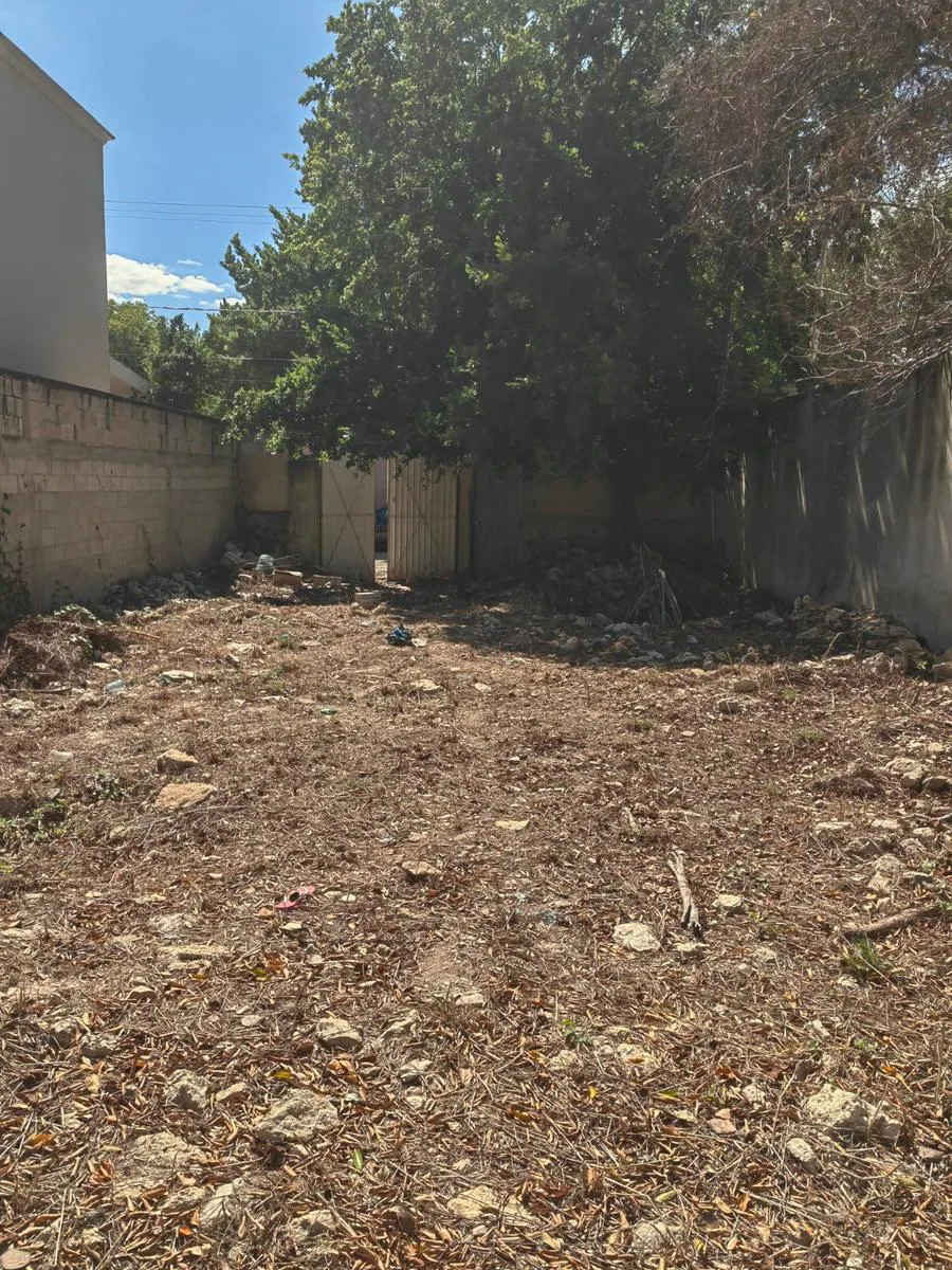 Terreno Spot2