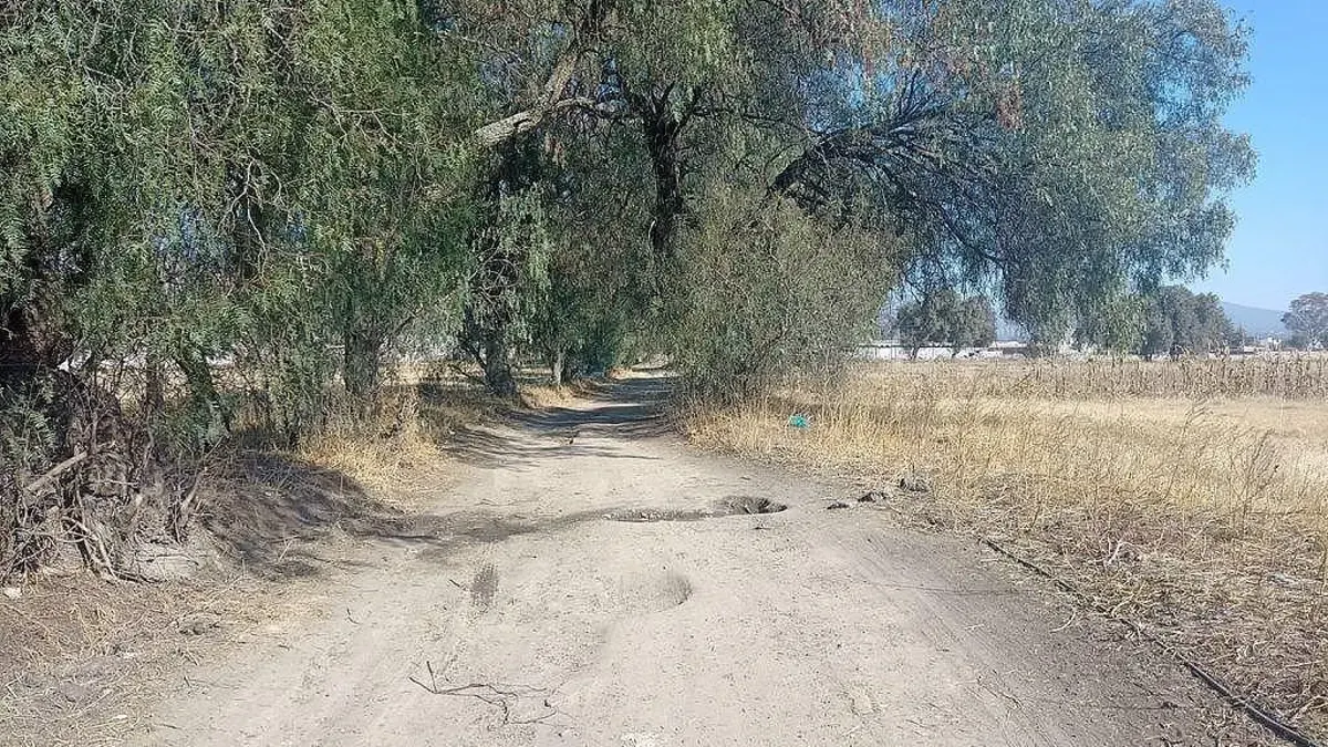 Terreno Spot2