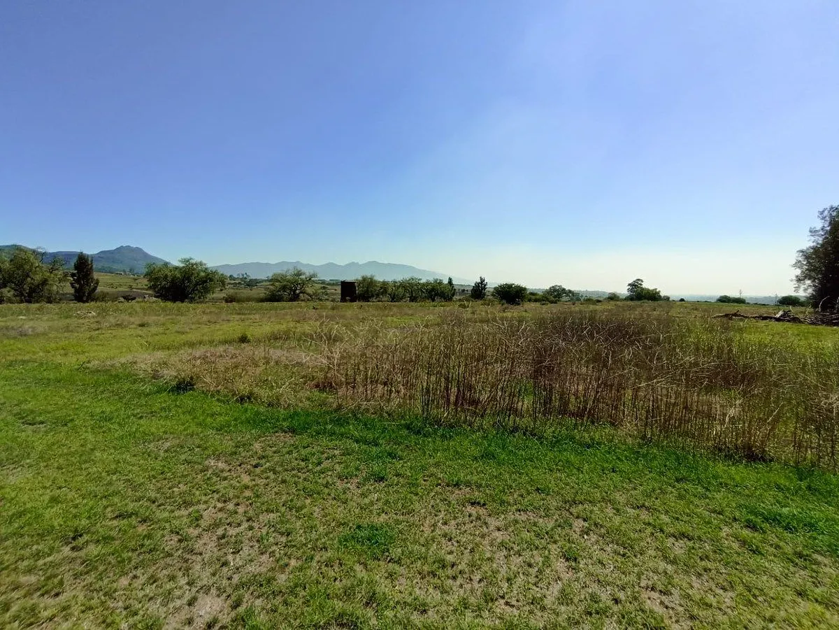 Terreno Spot2