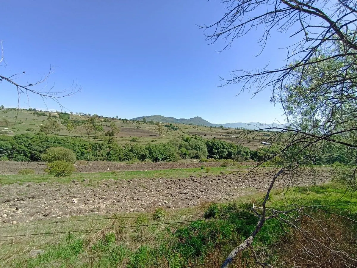 Terreno Spot2