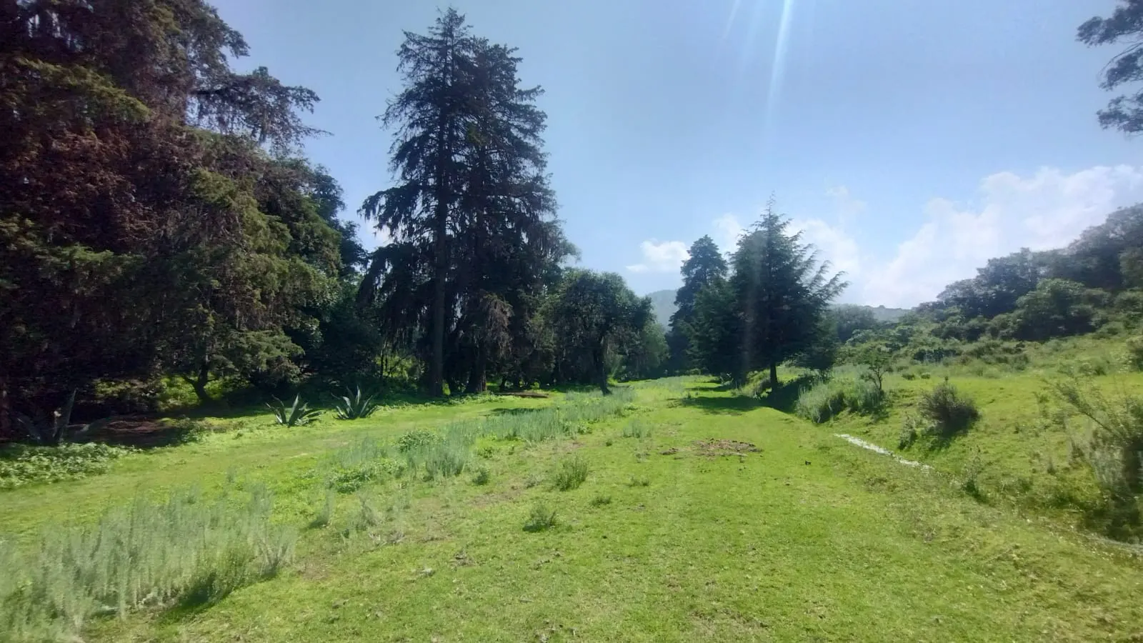 Terreno Spot2