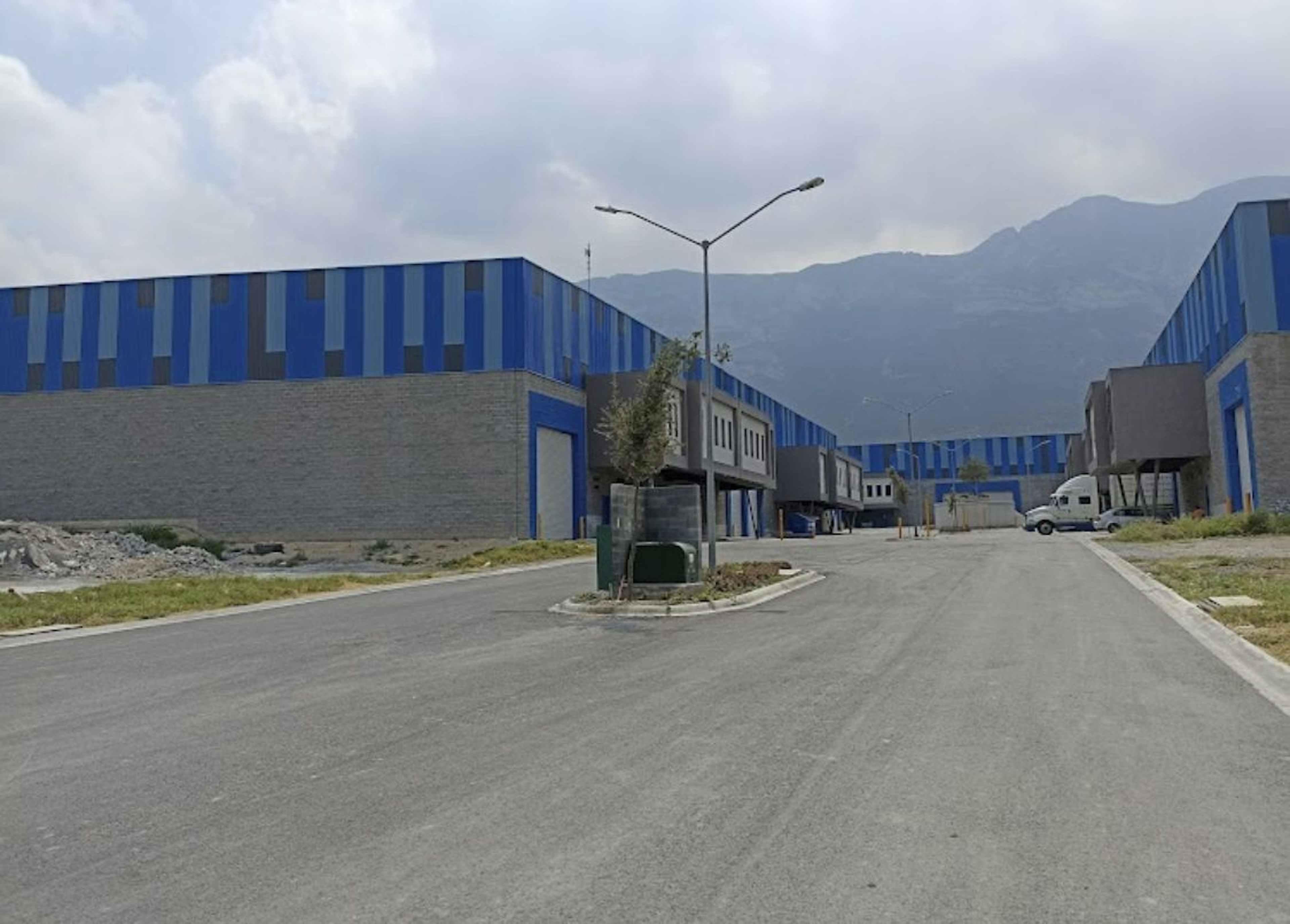 Bosque De Abetos 617