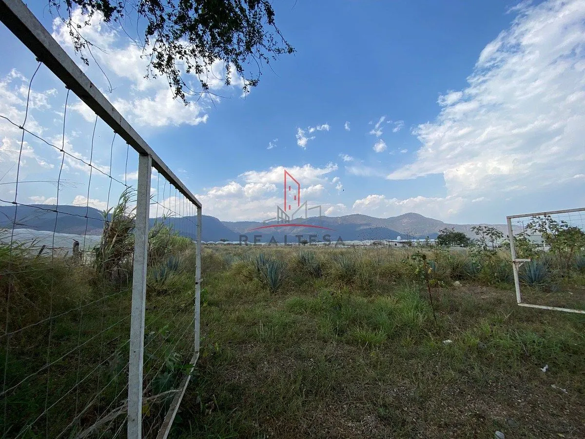 Terreno Spot2
