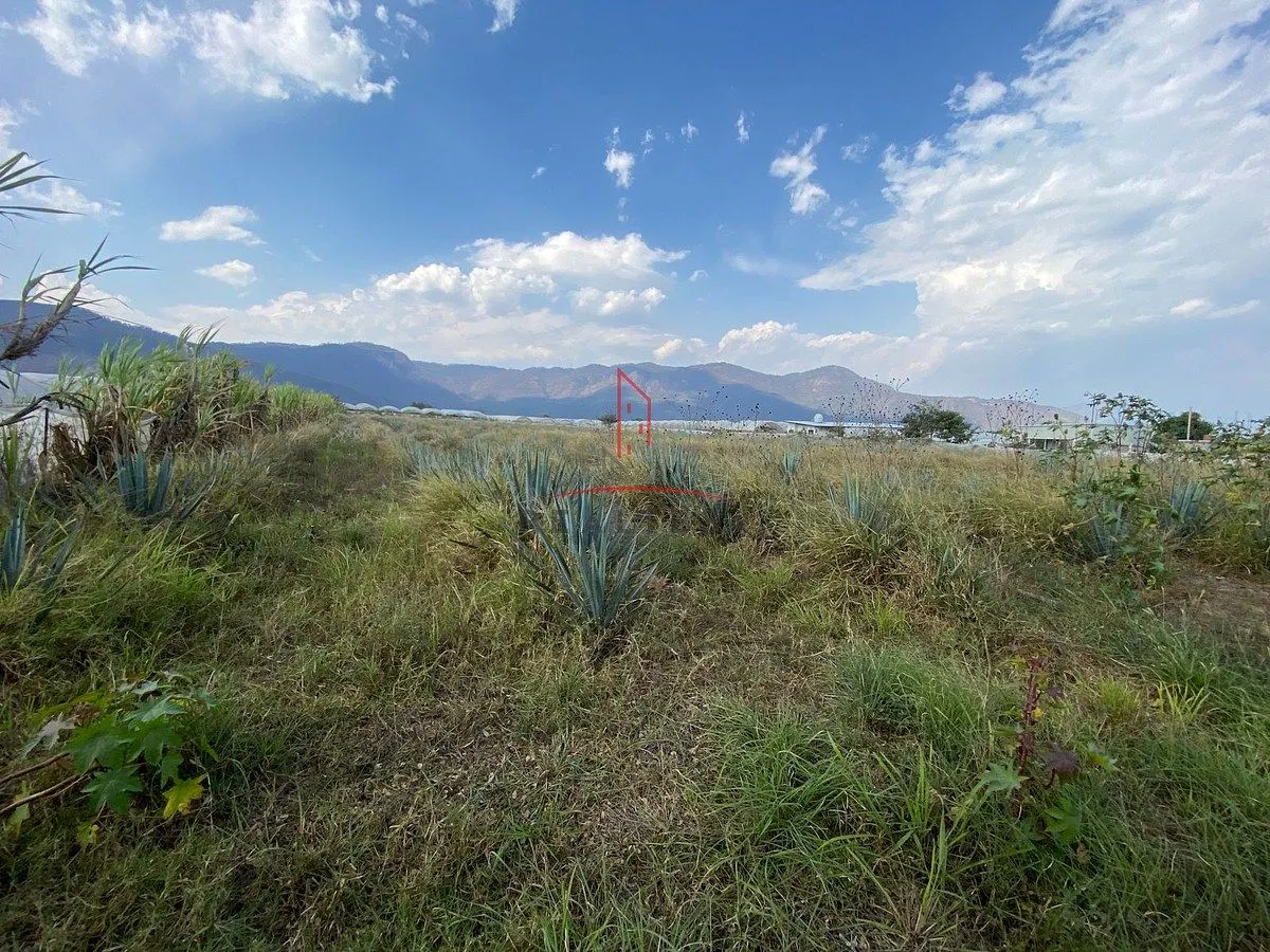 Terreno Spot2