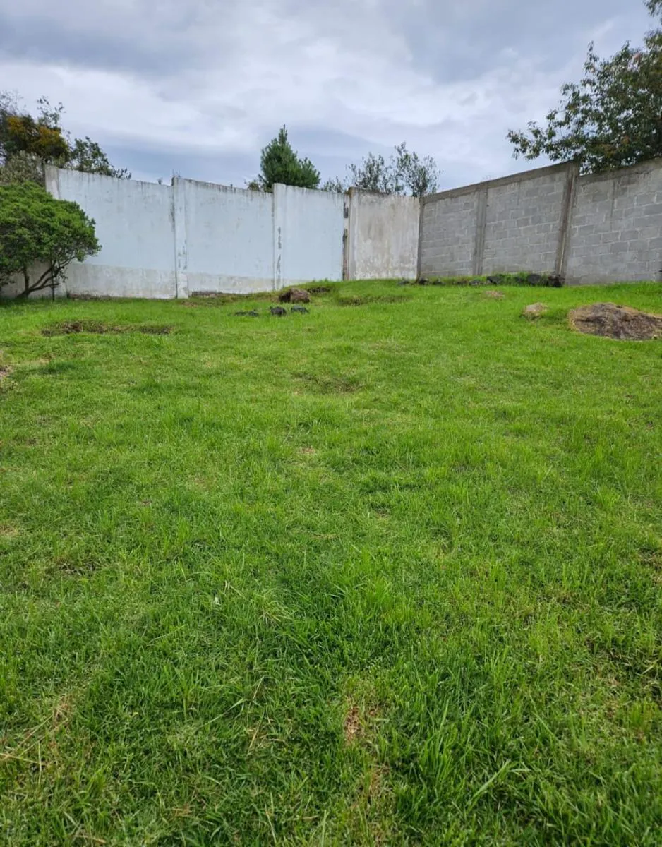 Terreno Spot2