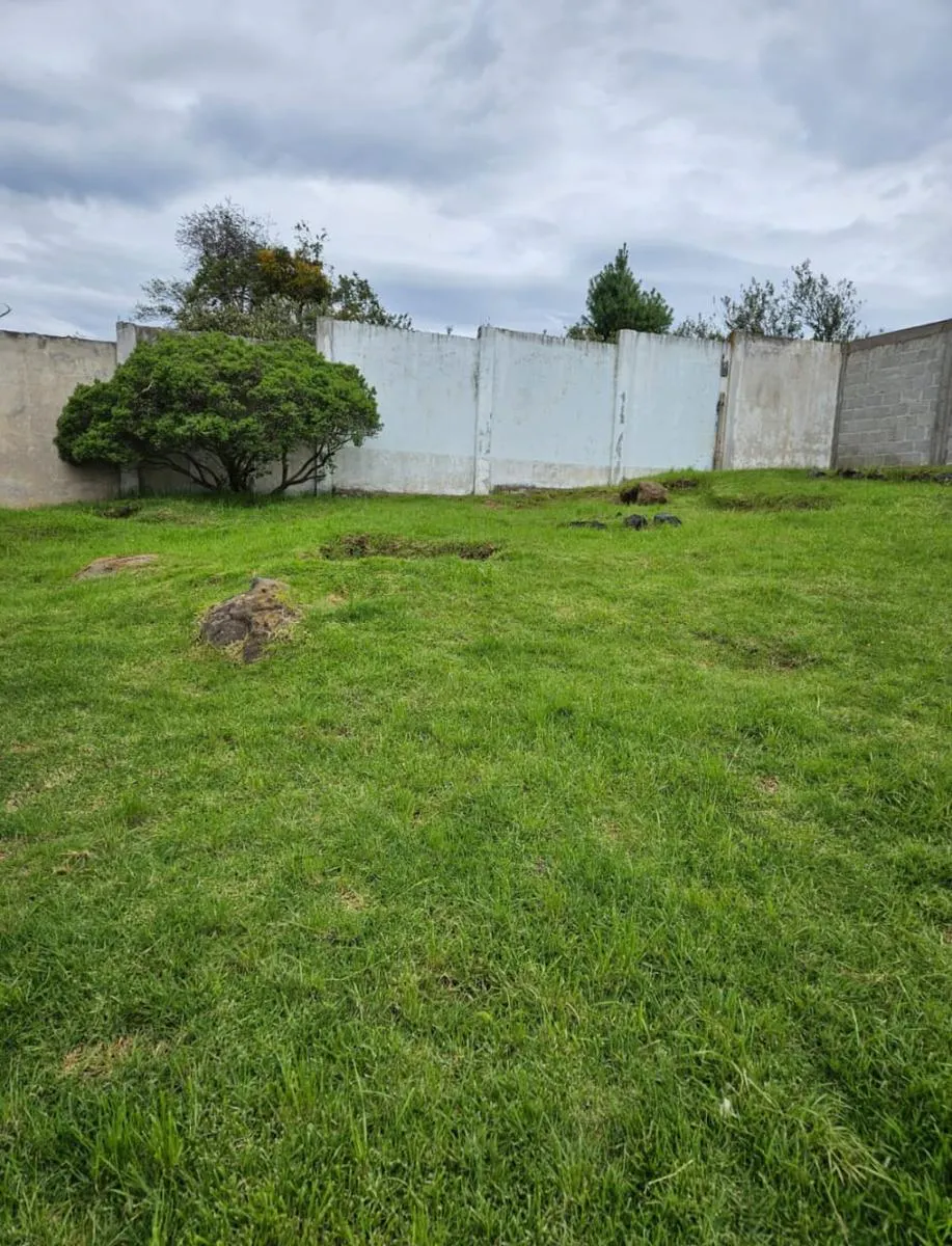 Terreno Spot2