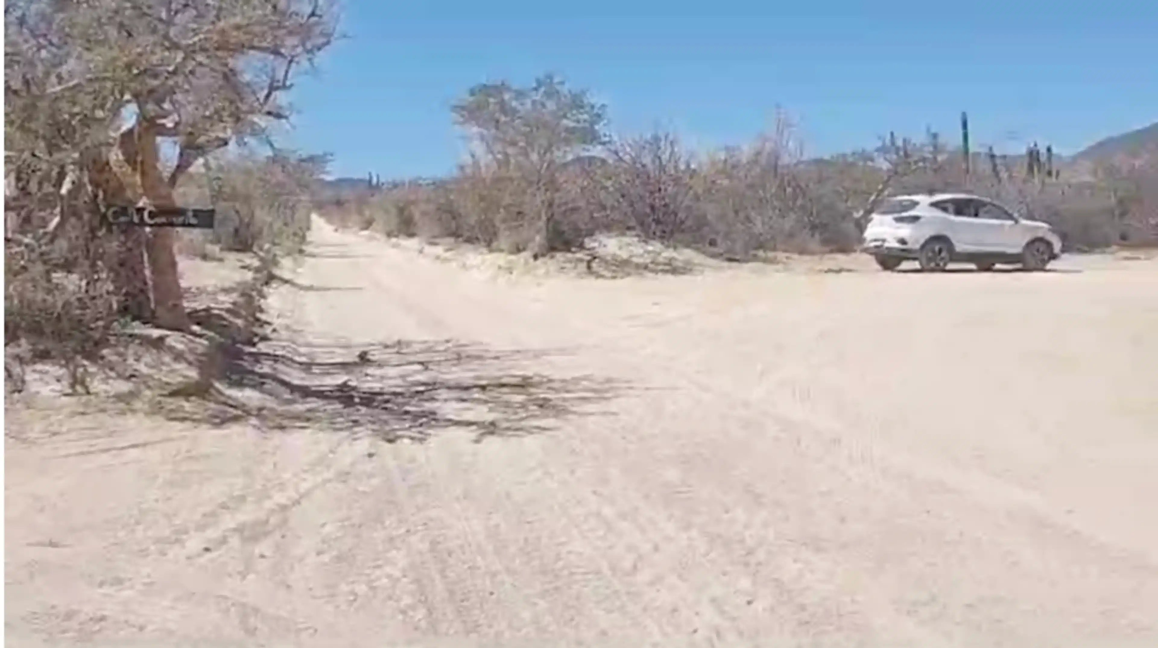 Terreno En Venta – El Sargento, B.c.s. (la Paz)