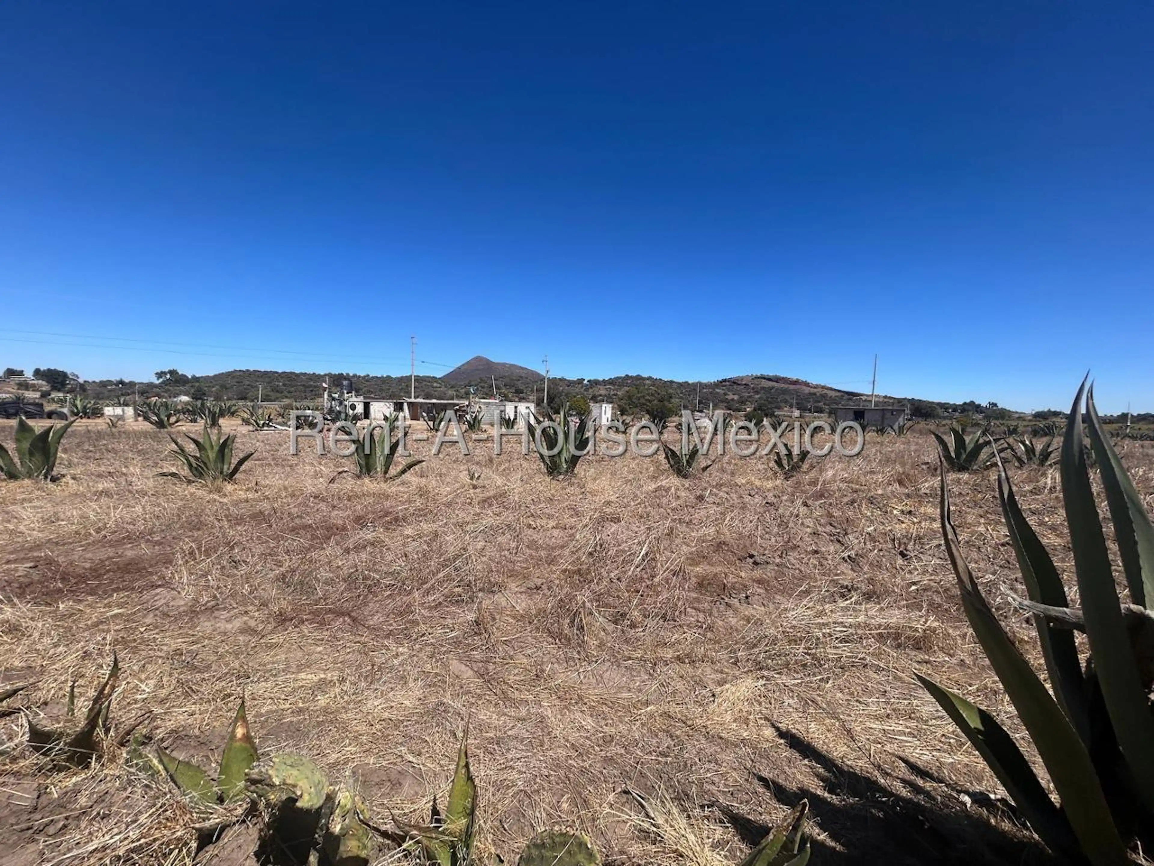Terreno en Venta en Santa Gertrudis Zempoala BJ 26-2535