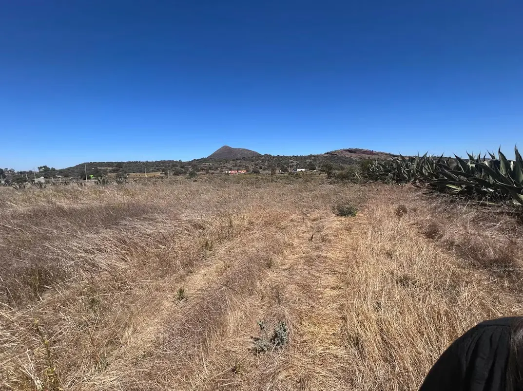 Terreno Spot2