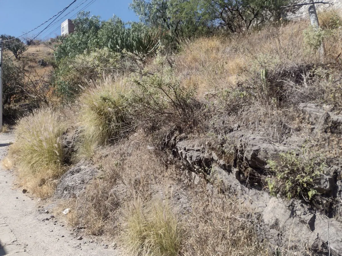 Terreno Spot2