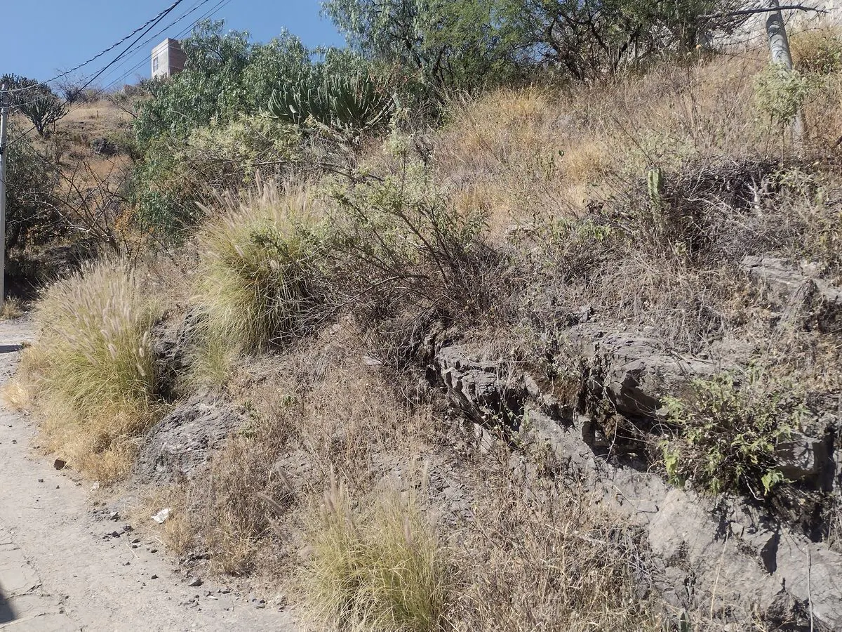 Terreno Spot2