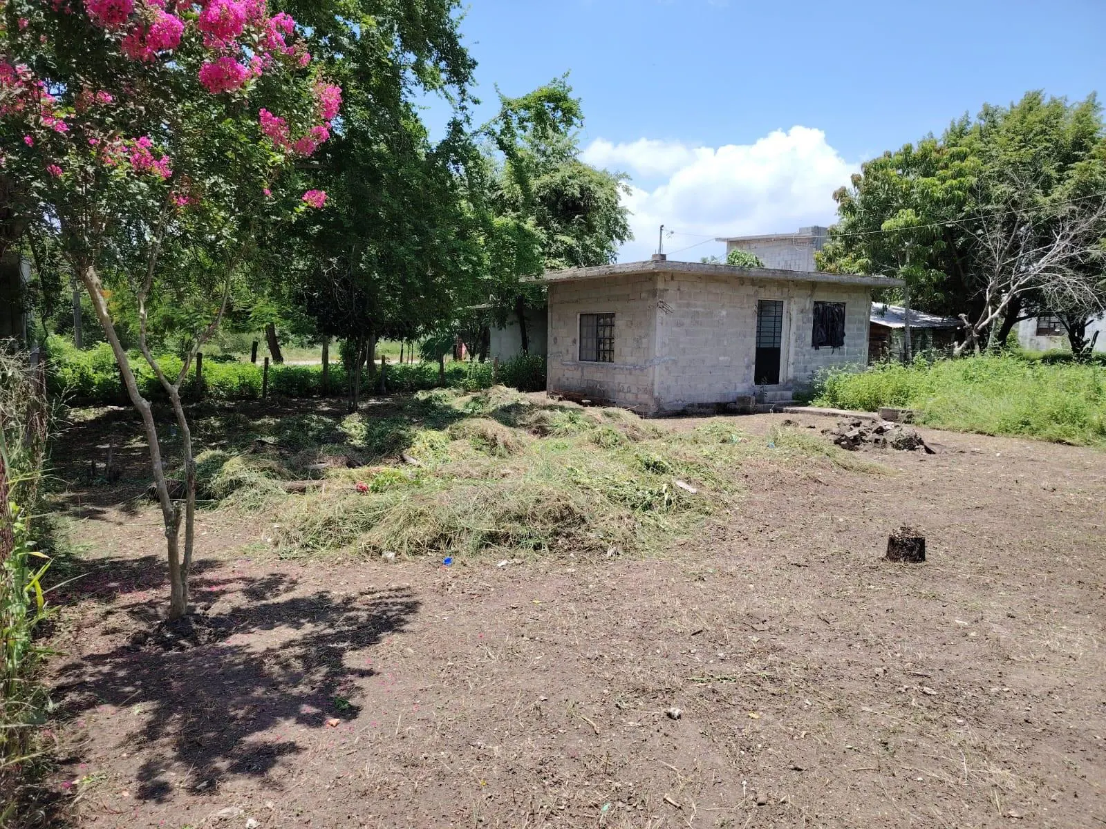 Terreno Spot2