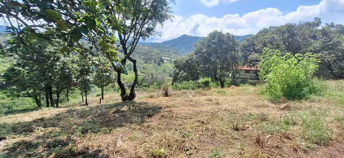 Terreno Spot2