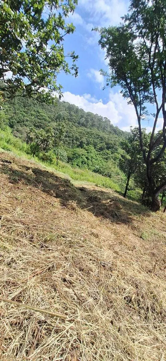 Terreno Spot2