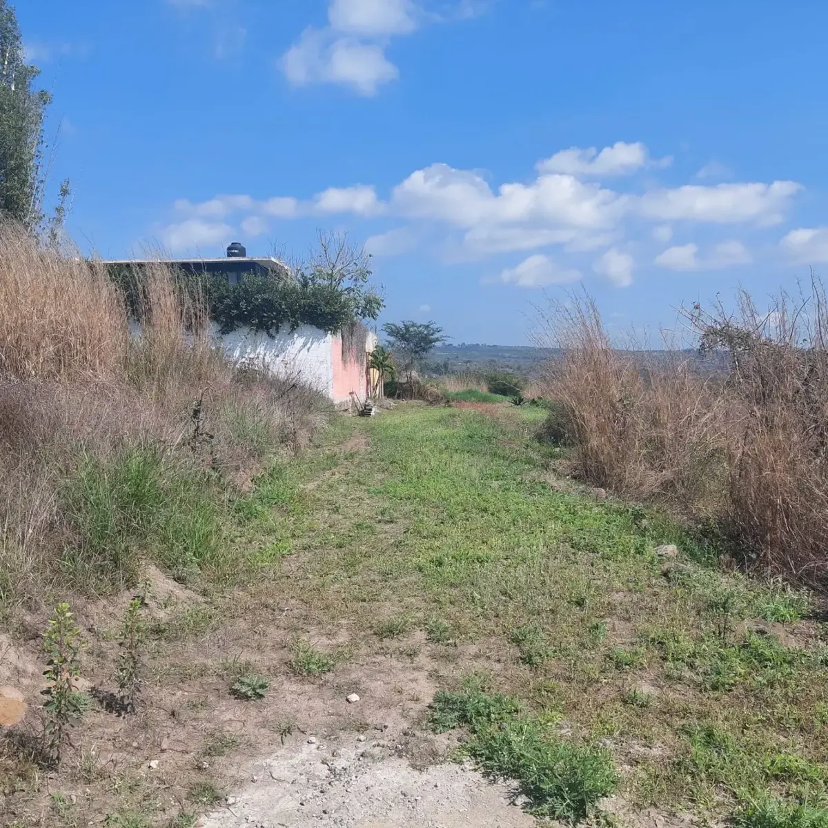 Terreno Spot2