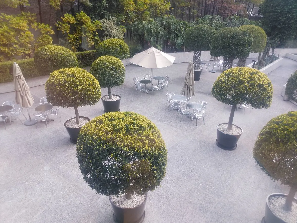 Oficina Spot2