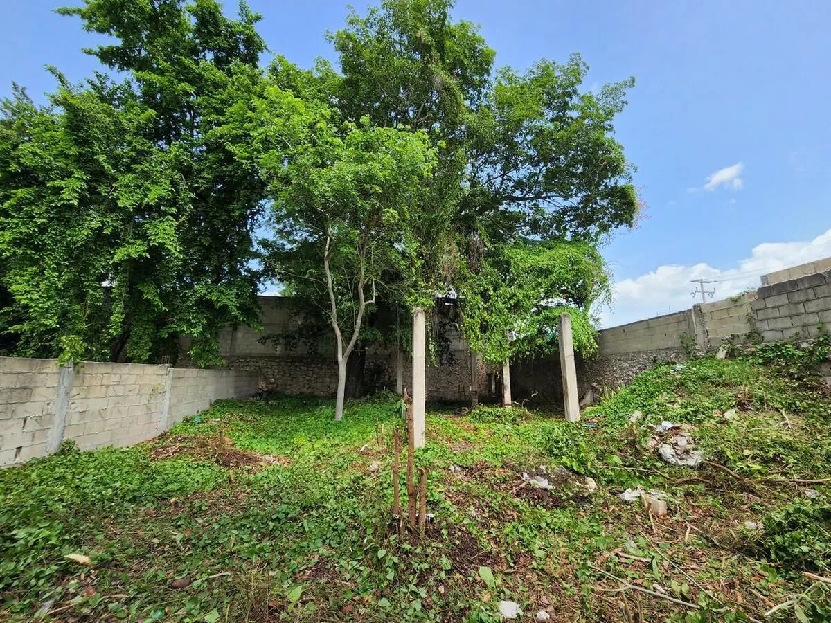 Terreno Spot2