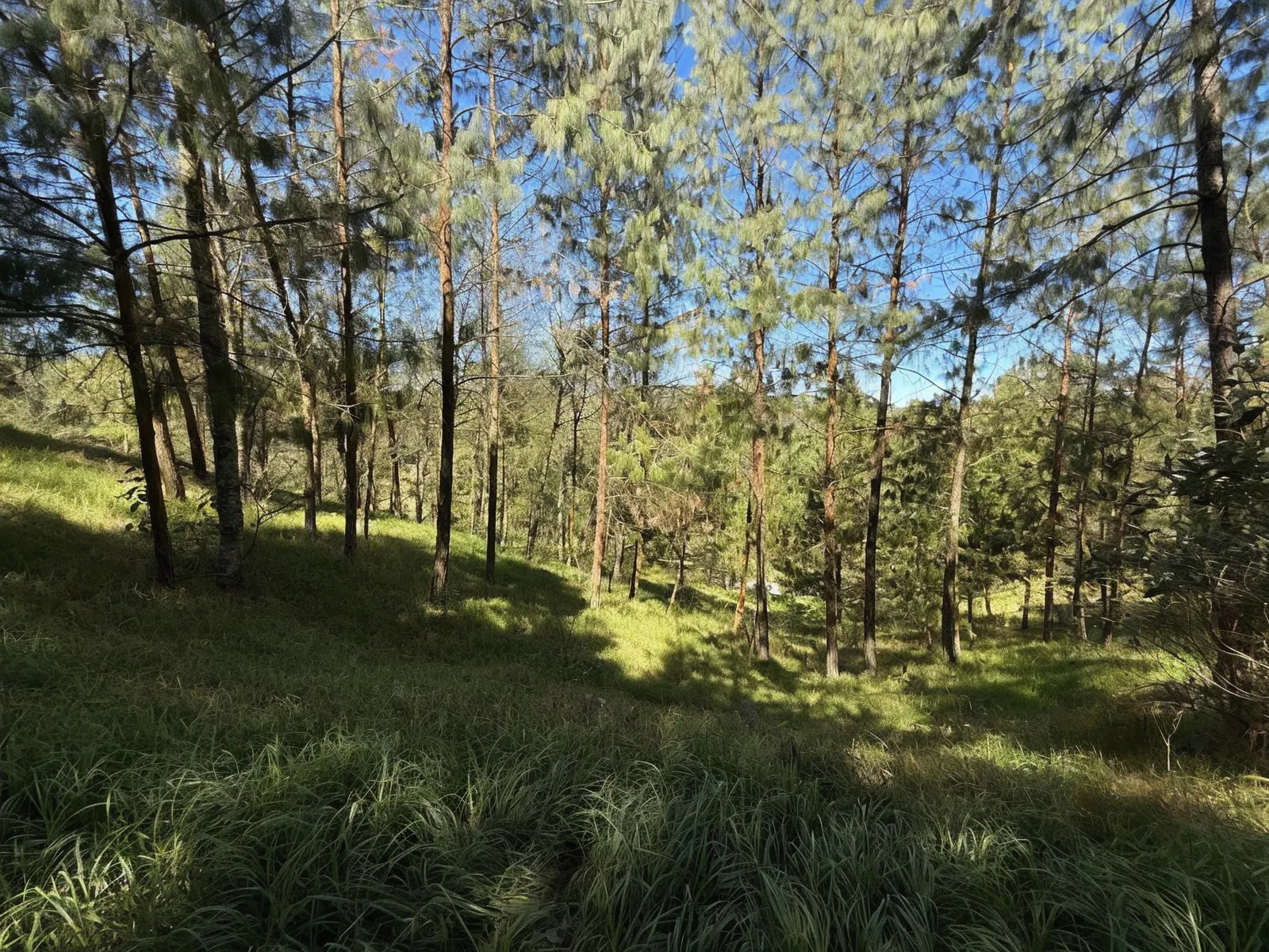 Terreno Spot2